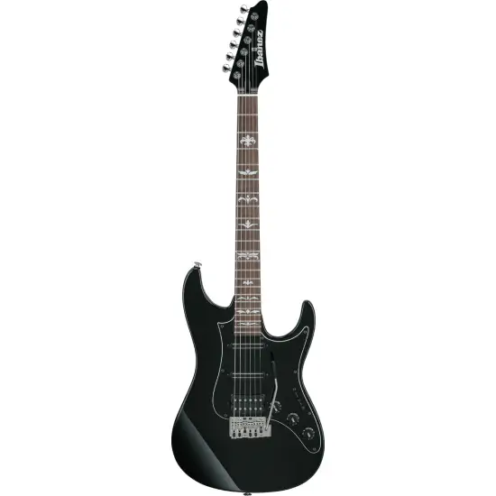 Ibanez Andy Timmons ATZ300 Black