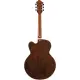 Ibanez Pat Metheny PM3C Natural Amber Low Gloss