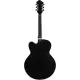 Ibanez Pat Metheny PM3C Black Low Gloss