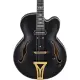 Ibanez Pat Metheny PM3C Black Low Gloss