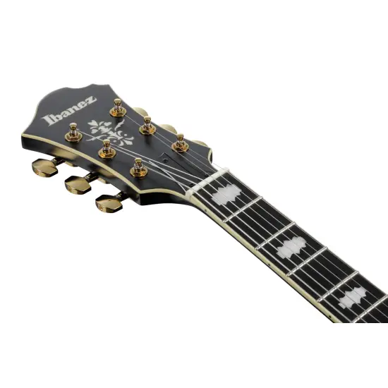 Ibanez Pat Metheny PM3C Black Low Gloss
