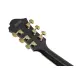 Ibanez Pat Metheny PM3C Black Low Gloss