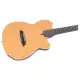 Sire Larry Carlton G5N Natural
