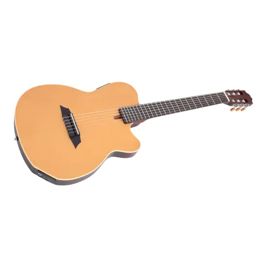Sire Larry Carlton G5N Natural