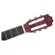 Sire Larry Carlton G5N Natural
