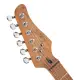 Cort G250 SE Olive Dark Green