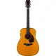 Yamaha Red Label FGX5 Gloss