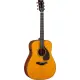 Yamaha Red Label FGX5 Gloss