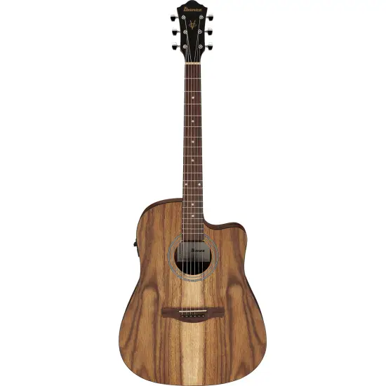Ibanez V40WSCE Open Pore Brown