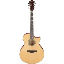 Ibanez AE170 Natural High Gloss