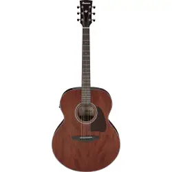 Ibanez Artwood AJ54E Open Pore Natural