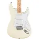 Fender STD Strat MN OWT