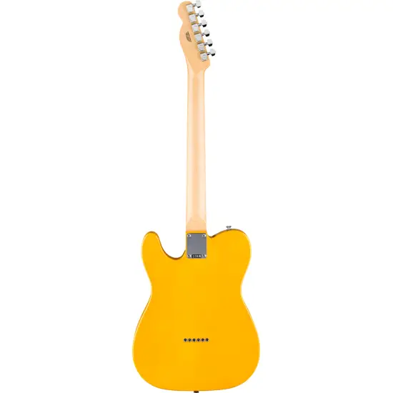 Fender STD Tele MN BTB
