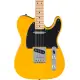 Fender STD Tele MN BTB