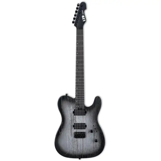 ESP LTD TE 1000 Silver Blast