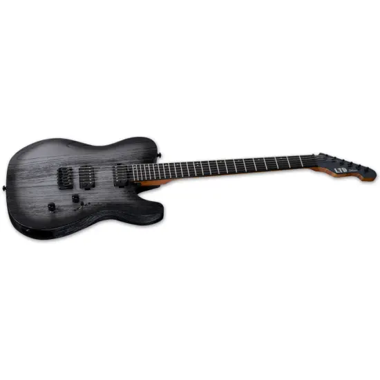 ESP LTD TE 1000 Silver Blast