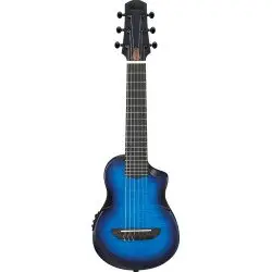 Ibanez AUP10FMNE TOB