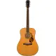 Fender PD 220E Dreadnought