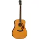 Fender PD 220E Dreadnought