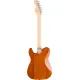 Squier Paranormal Esquire DLX MN BPG MOC