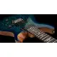 PRS LTD ED SE Custom 24 Burled Ash Lake Blue