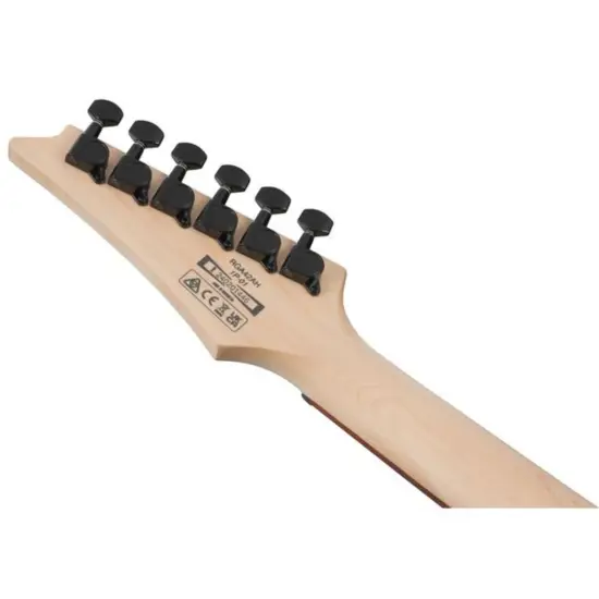 Ibanez RGA42AH BKS
