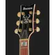 Ibanez Ibanez AR420 TBG