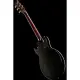 Ibanez Ibanez AR420 TBG