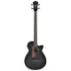 Ibanez AEGB25E TKH