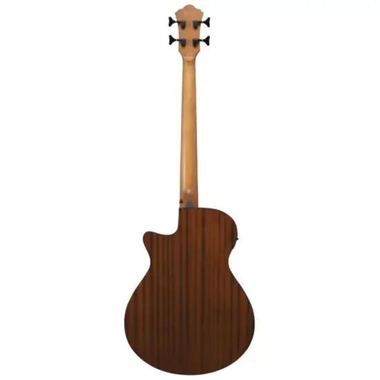 Ibanez AEGB25E TKH