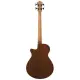 Ibanez AEGB25E TKH