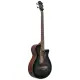 Ibanez AEGB25E TKH