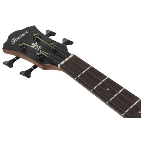 Ibanez AEGB25E TKH