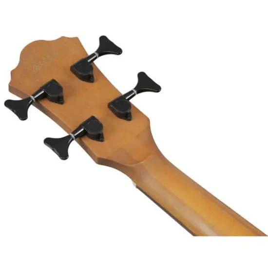 Ibanez AEGB25E TKH