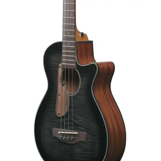 Ibanez AEGB25E TKH