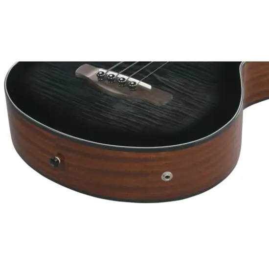 Ibanez AEGB25E TKH