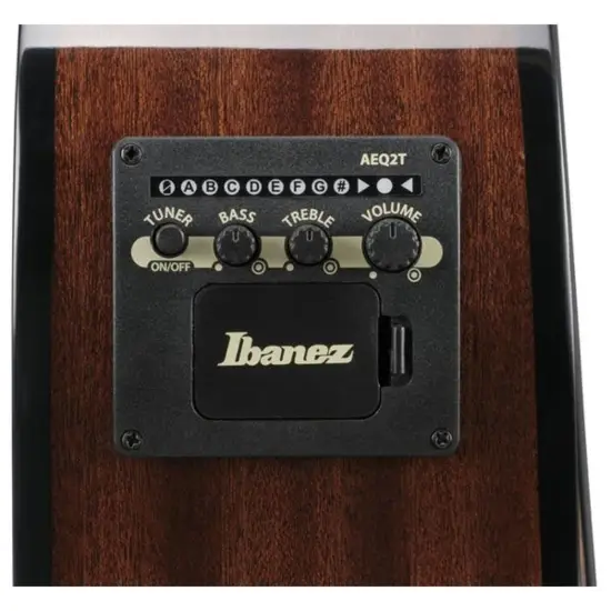 Ibanez AEGB25E TKH