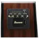 Ibanez AEGB25E TKH