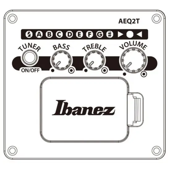 Ibanez AEGB25E TKH
