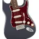 Fender AM Pro CLSC Strat RW FBLK