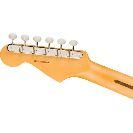 Fender AM Pro CLSC Strat RW FBLK