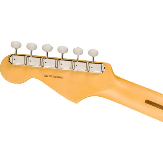 Fender AM Pro CLSC Strat RW FDKR