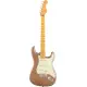 Fender AM Pro CLSC Strat MN FFMG