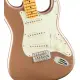 Fender AM Pro CLSC Strat MN FFMG