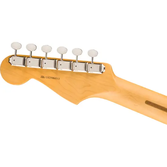 Fender AM Pro CLSC Strat HSS RW FSGM