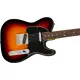 Fender AM Pro CLSC Tele RW 3TS