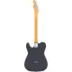 Fender AM Pro CLSC Tele RW FBLK