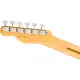 Fender AM Pro CLSC Tele RW FDKR