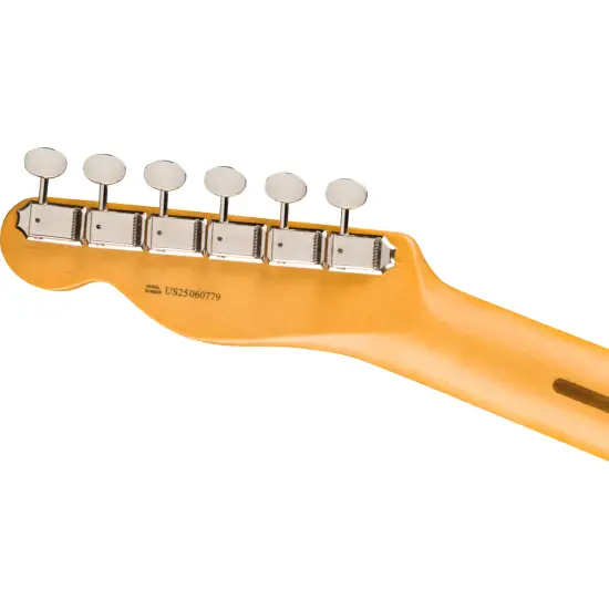 Fender AM Pro CLSC Tele MN BTB