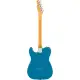 Fender AM Pro CLSC Tele MN FLPB